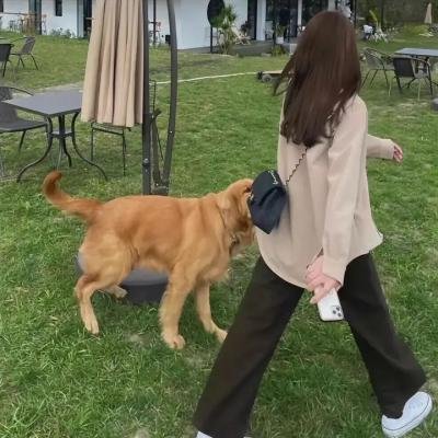 山村狐妻